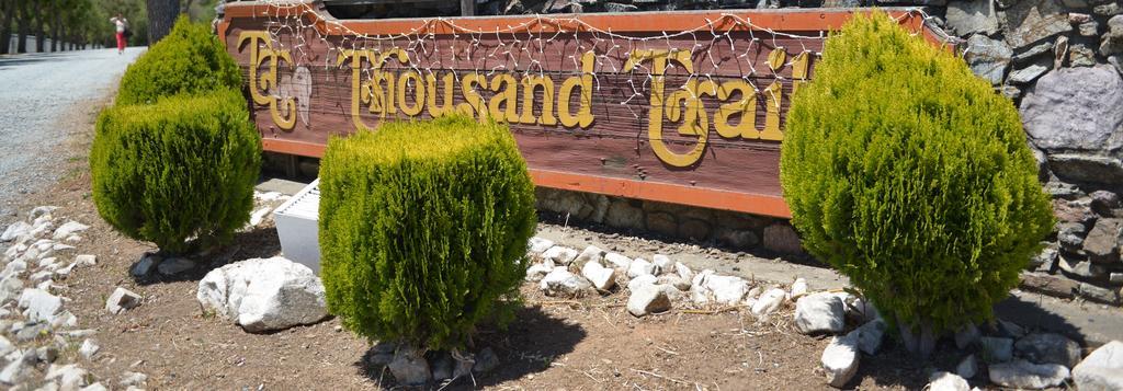 Morgan Hill Camping Resort Cabin 1 San Martin Ngoại thất bức ảnh